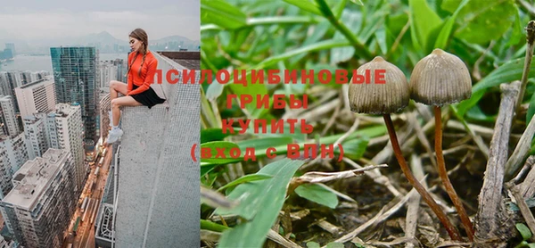меф Няндома