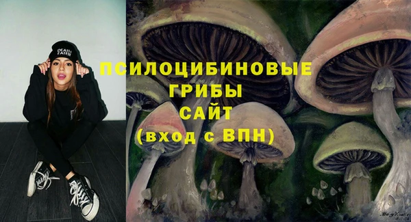 меф Няндома
