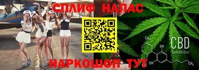 индика Абинск
