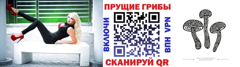 Галлюциногенные грибы Cubensis Алексин