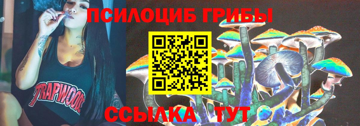 Алексин  Псилоцибиновые грибы GOLDEN TEACHER  Вход с VPN 