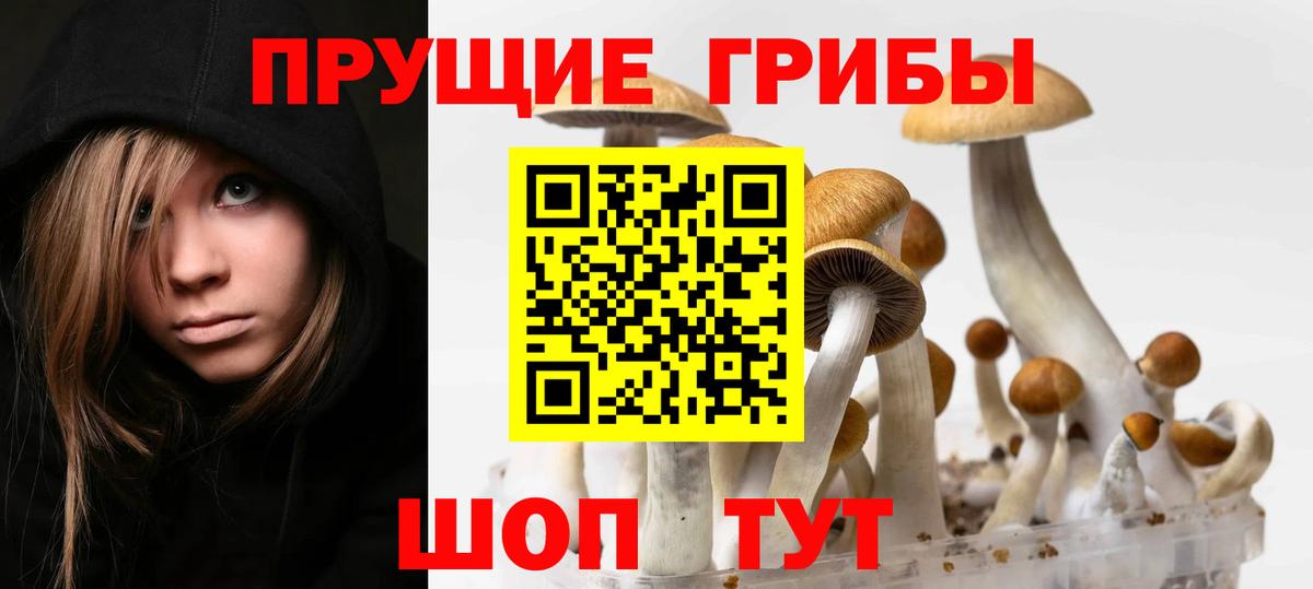 Алексин  Псилоцибиновые грибы GOLDEN TEACHER  Галлюциногенные грибы MAGIC MUSHROOMS  Вход с VPN 