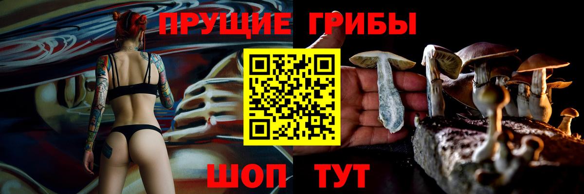 Галлюциногенные грибы Psilocybe Алексин